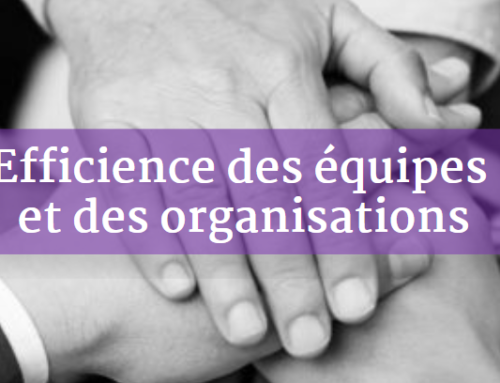 Efficience des équipes et des organisations, la clé de croissance pour votre entreprise !